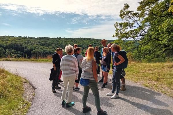 Wiesen-Exkursion auf der Gießhübler Heide
