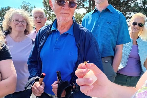 Wiesen-Exkursion auf der Gießhübler Heide