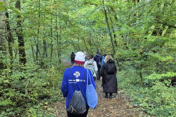 Personen wandern durch den Wald