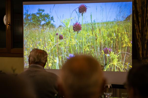 Folie mit Trockenrasenarten