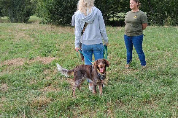 zwei PErsonen mit Hund auf Wiese