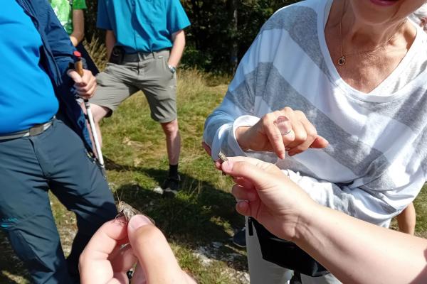 Expertin zeigt Insekten her