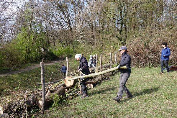 Heckenbau durch Freiwillige