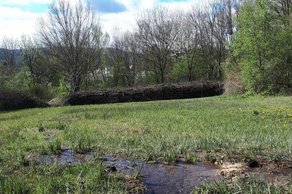 Quellaustritt auf Salzwiese