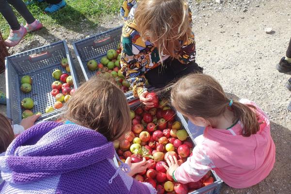 Kinder mit Apfelernte