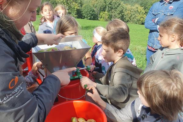 Kinder beim Obstpressen
