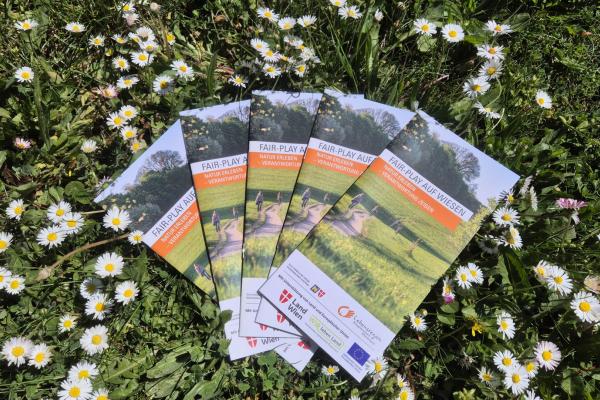 Infofolder in einer Wiese
