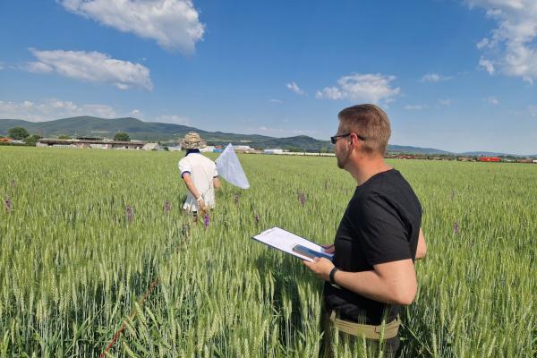 Personen im Feld