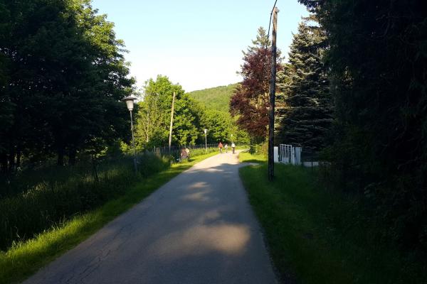 Fußgänger, Läufer, Radfahrer, Inlineskater usw. trifft man auf diesem Weg.