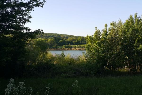 Nach den ersten Metern lässt sich der Wienerwaldsee aus der Entfernung erblicken.