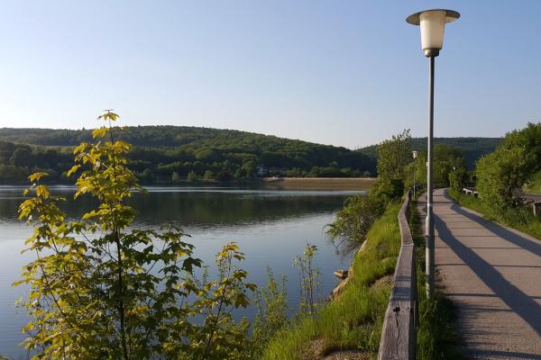 Blick auf den Damm im Nordosten des Wienerwaldsees.