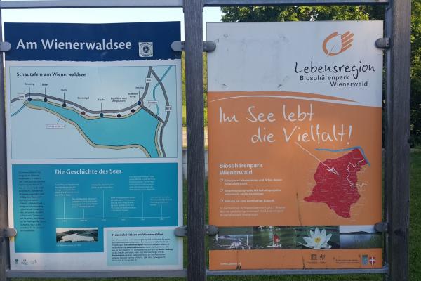 Informationen zu Biosphärenpark und Wienerwaldsee kann man am Lehrpfad entlang der nördlichen Seepromenade nachlesen.