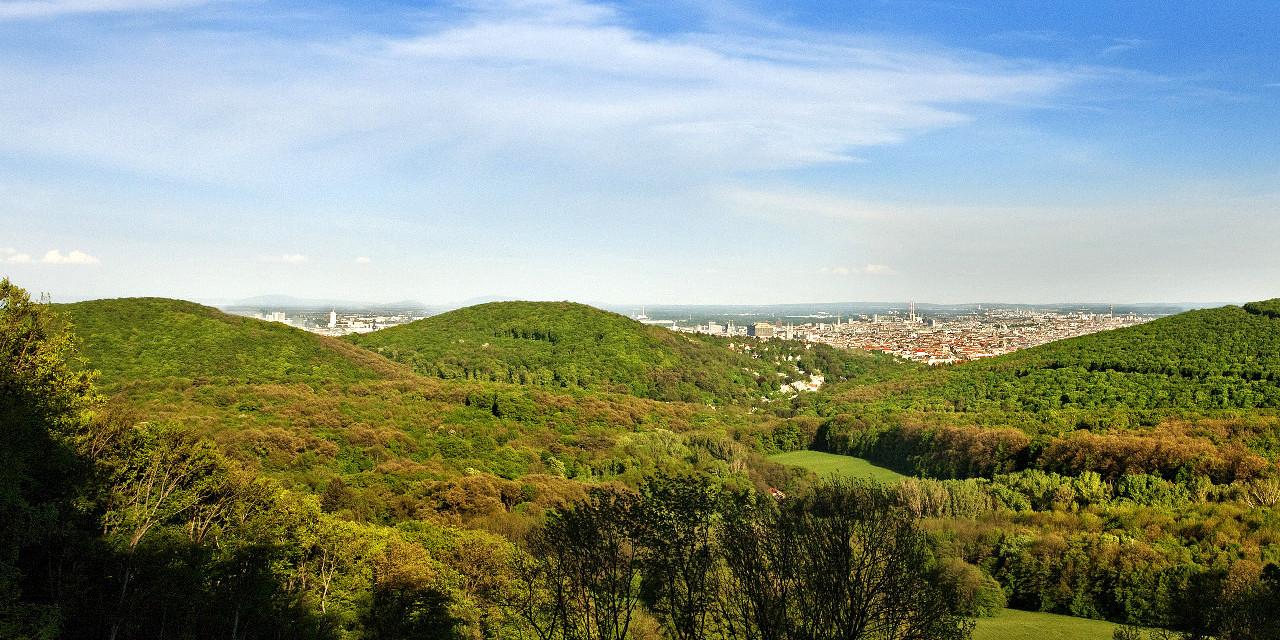 Blick über die Hügel des Wienerwaldes auf Wien