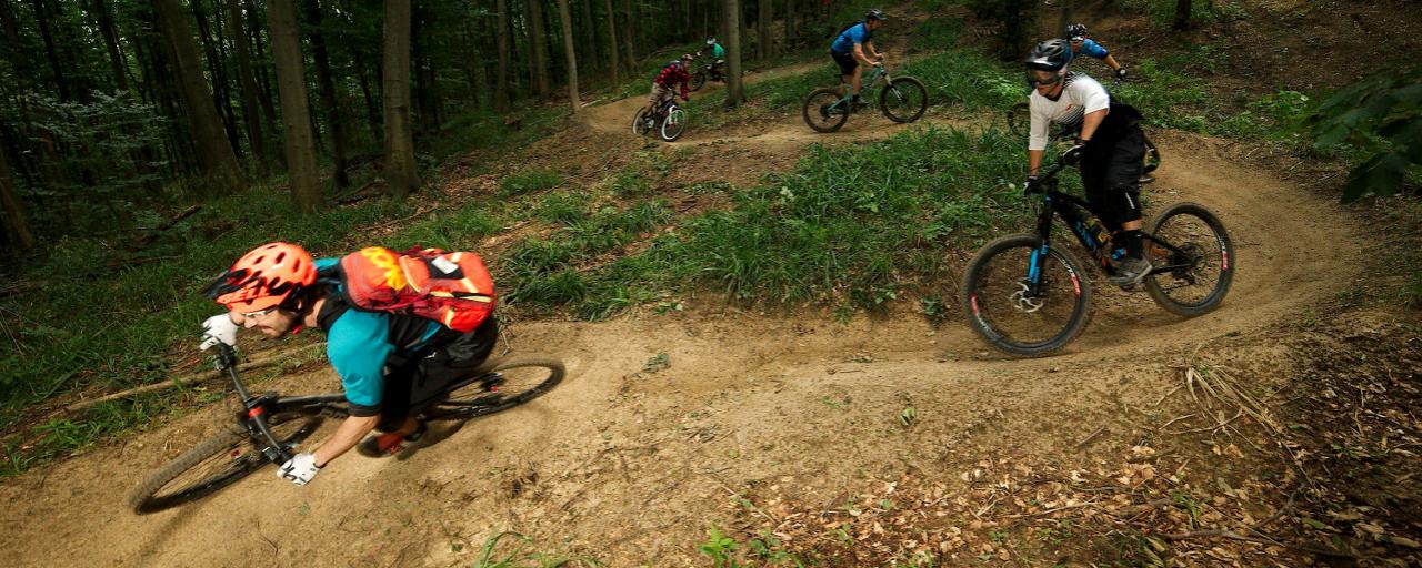 Mountainbiker im Trailpark Weidlingbach