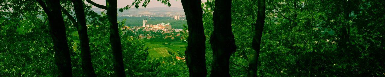 Blick durch den Wald auf die Stadt Klosterneuburg