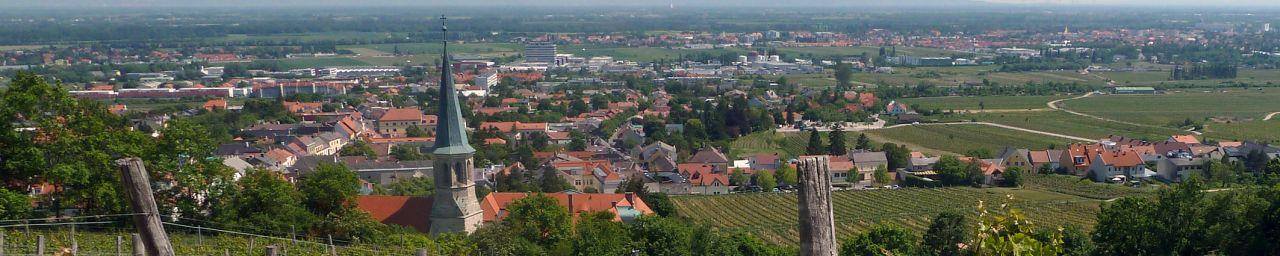 Panorama Gumpoldskirchen