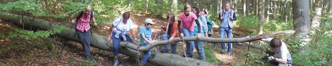 Kindergruppe im Wald