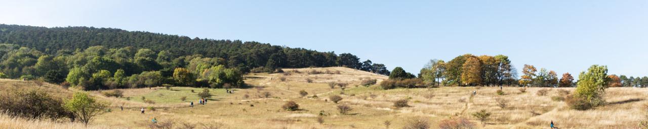 Landschaft im Wienerwald