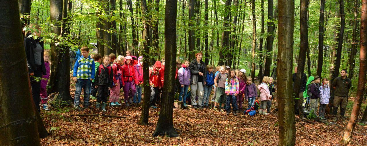 Waldferienwoche mit den Bundesforsten