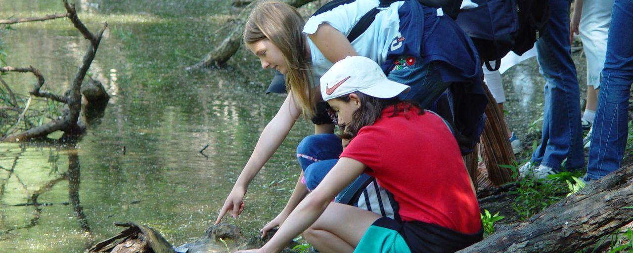 Waldschule Lobau