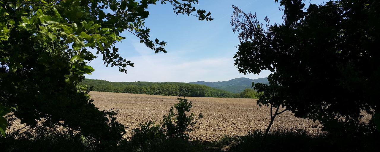 Ausblick über Äcker und Wälder in Laab