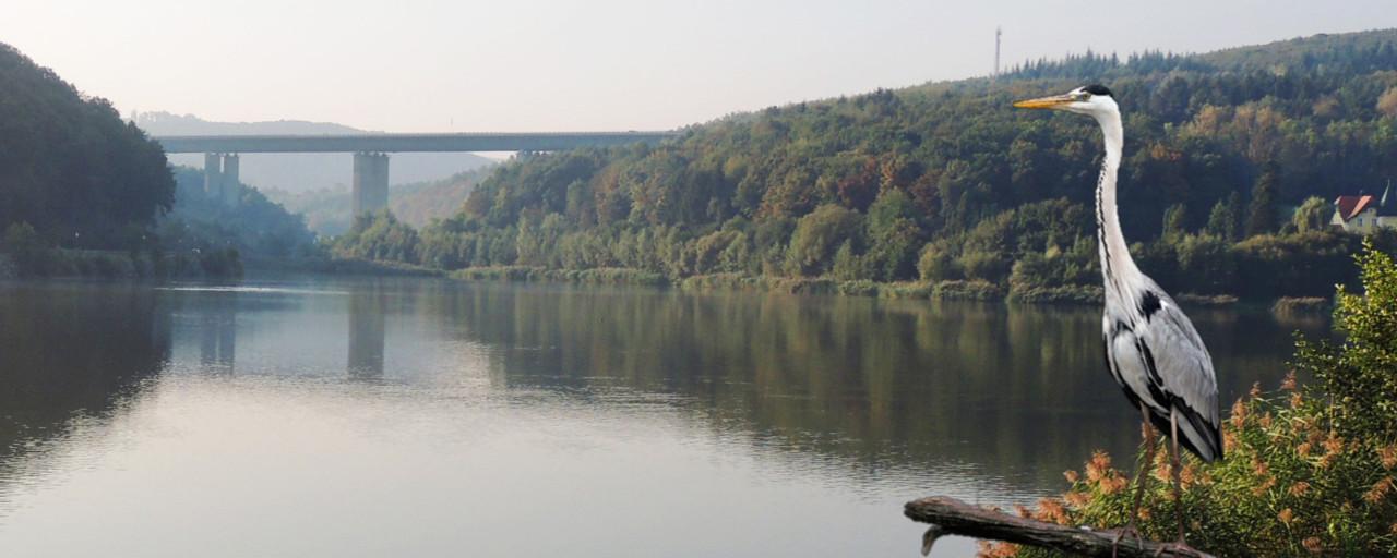 Blick auf den Wienerwaldsee