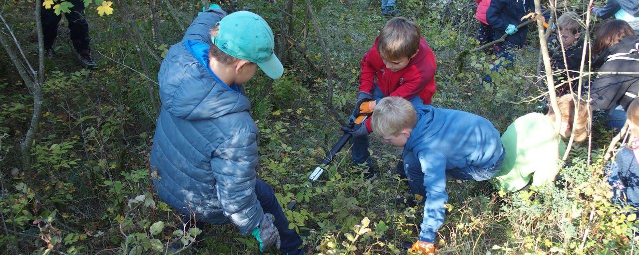 Kinder bei der Landschaftspflege