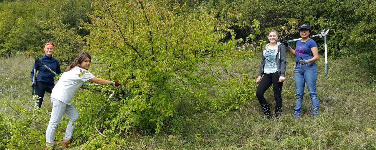 Freiwillige Helferinnen beim Landschaftspflegeeinsatz