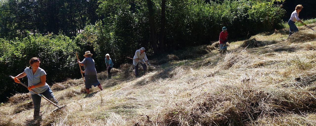 Gruppe Freiwilliger beim zusammenrechen von Schnittgut
