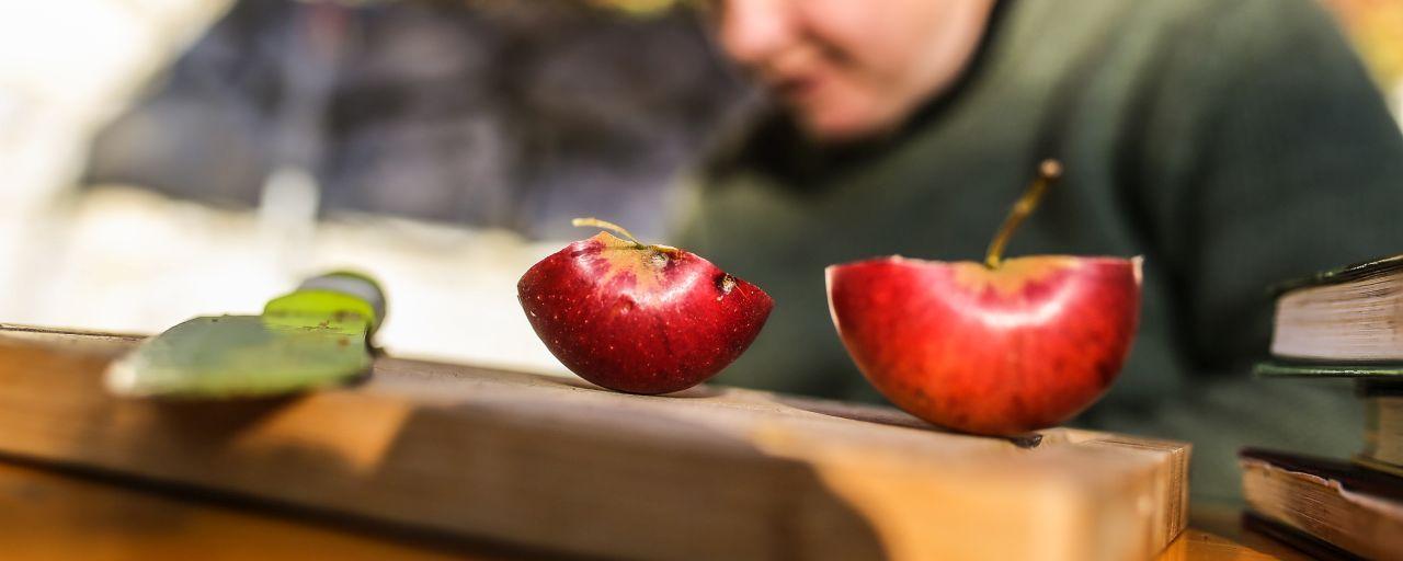 rote Apfelhälften mit Schneidemesser