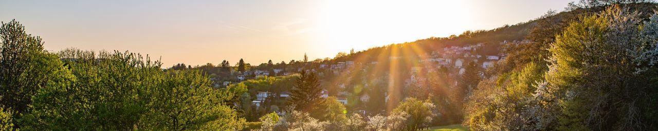 Sonne über dem Wienerwald