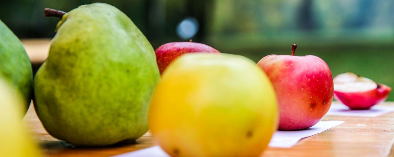 grüne Birne, gelber und roter Apfel auf Heurigentisch von der Nähe fotografiert