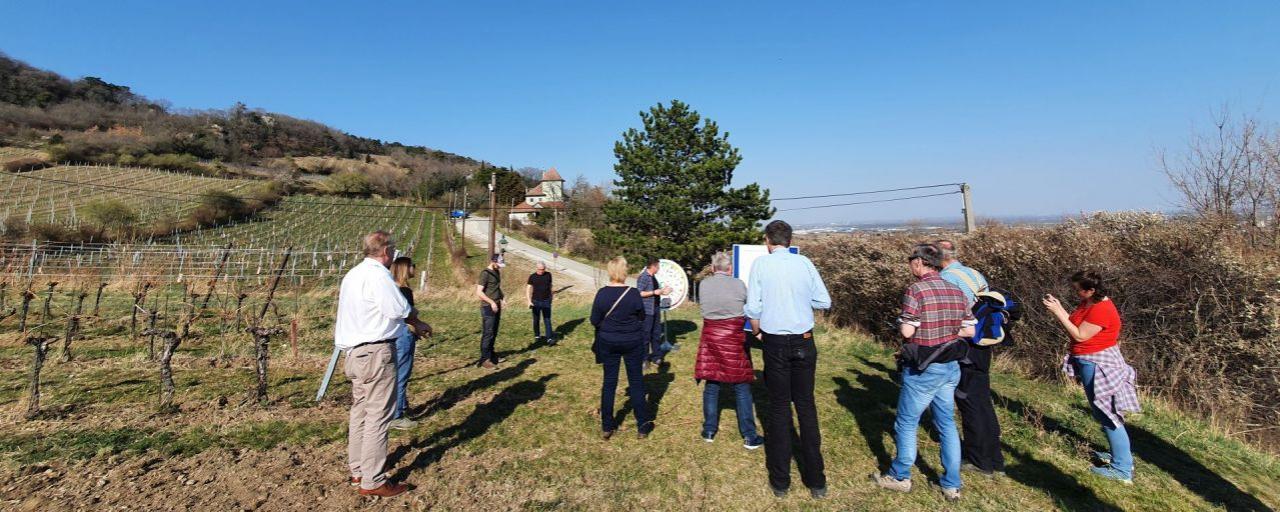 Personengruppe in den Weinbergen