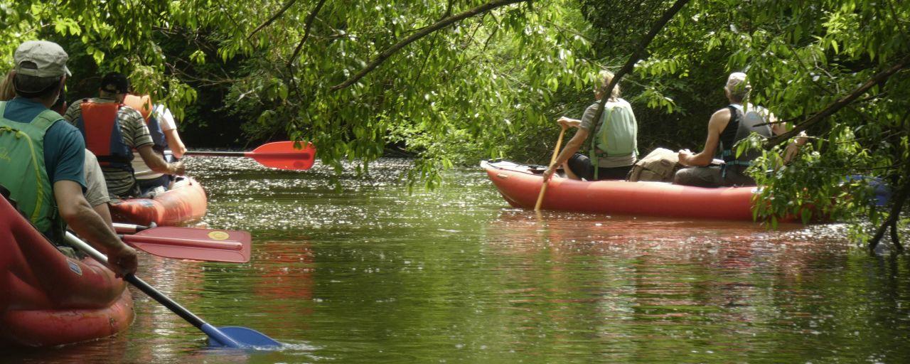 Personen mit Kanus am Fluss