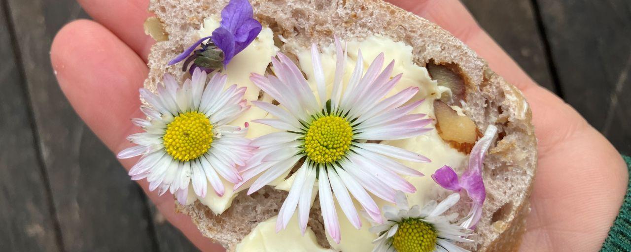 Gänseblümchen am Brot