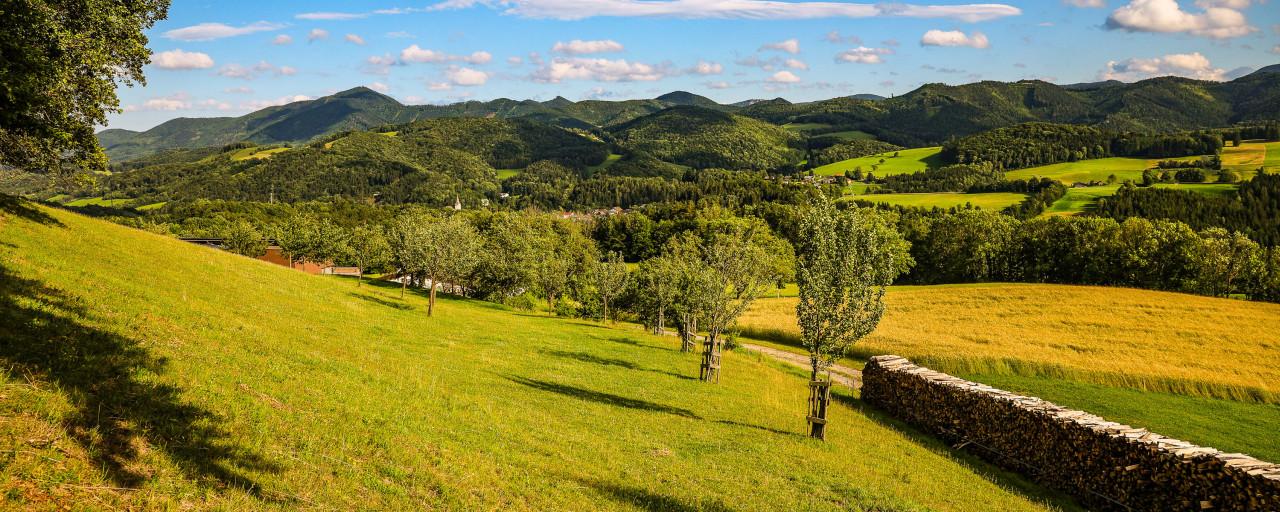 Neue Zeitungsausgabe "Balanceakt Landwirtschaft"