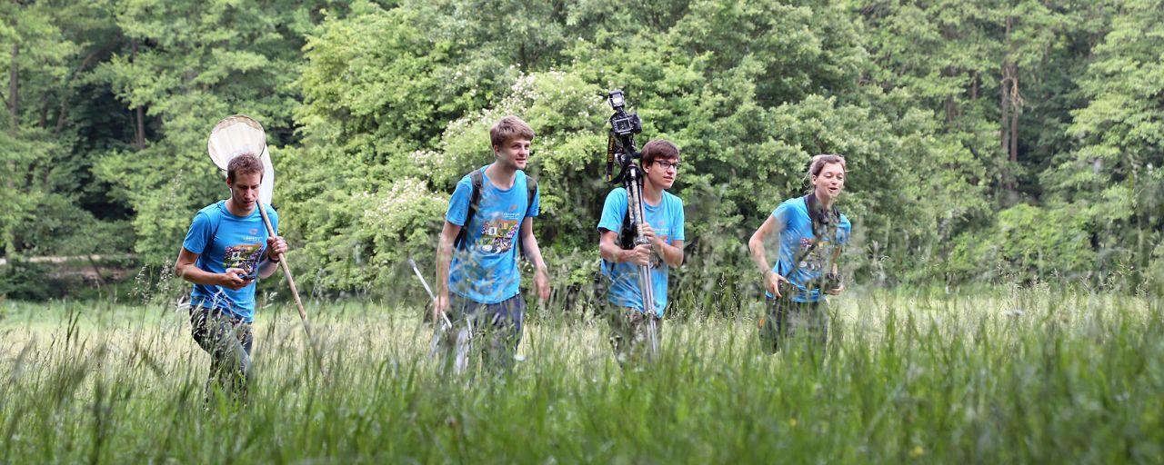 ExpertInnen auf Artensuche im Lainzer Tiergarten