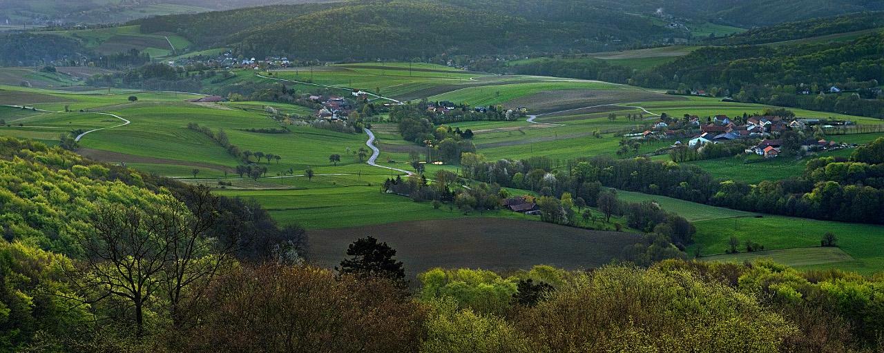 Blick von Warte am Buchberg