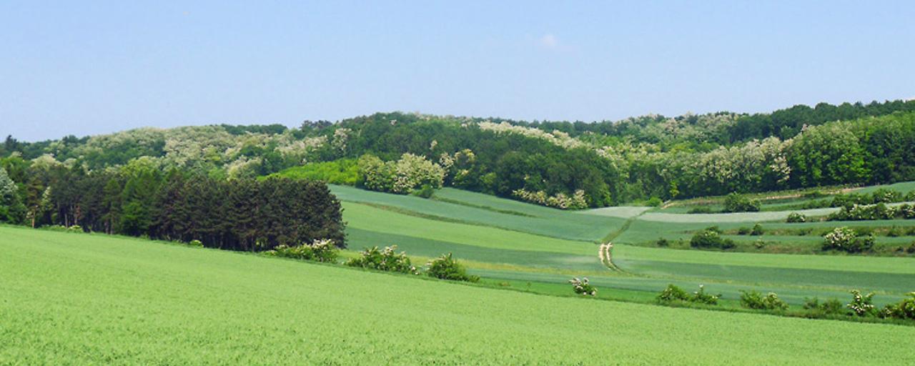 Lage Apis-Z Landschaft