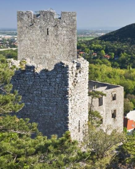 Ruine Baden