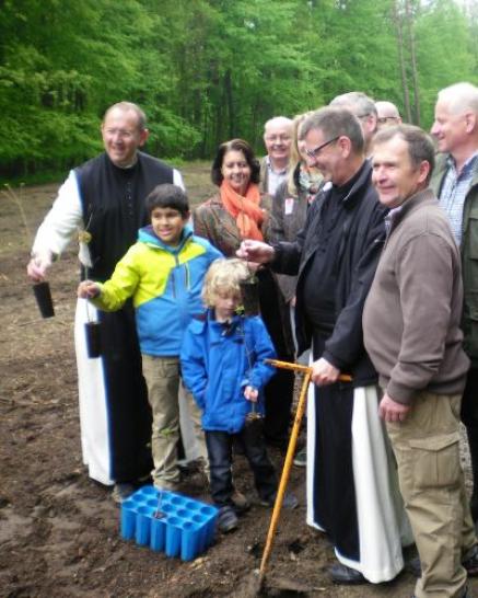 Gruppe pflanzt Bäume