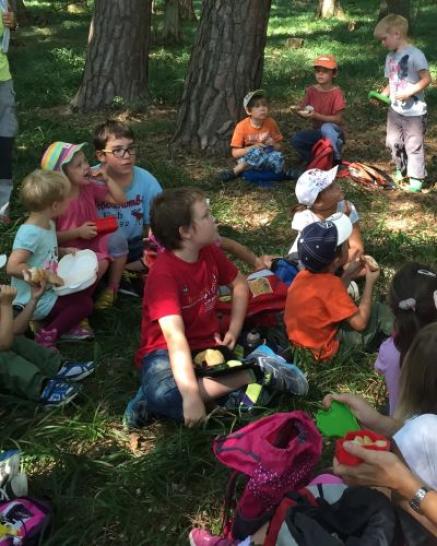 Kinder im Wald