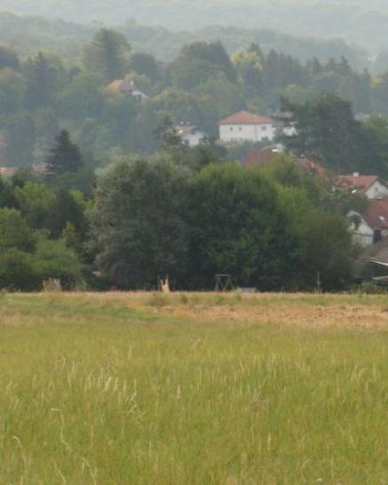 Wiese mit Blick auf den Ort Mauerbach