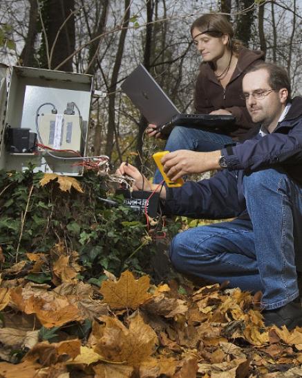 Monitoring im Wald