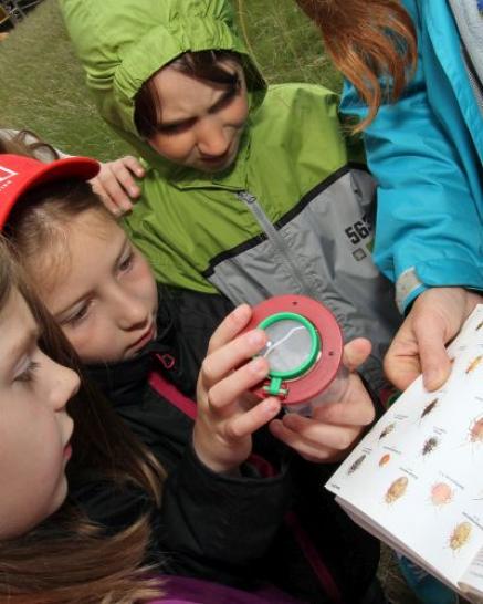 Kindergruppe bei Fundbestimmung