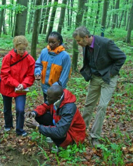 Gruppe im Wald