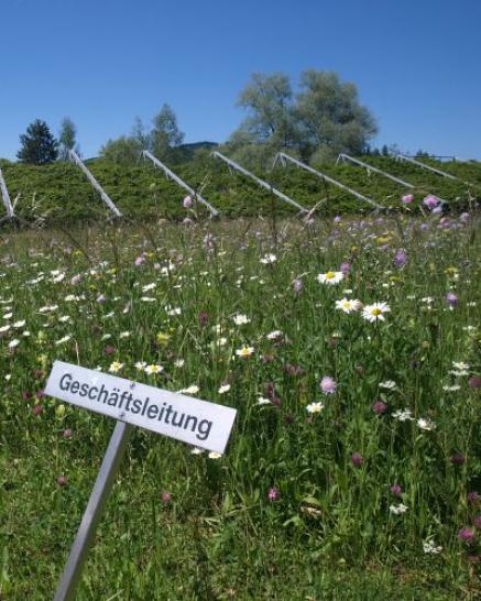 Naturnahes Firmengelände