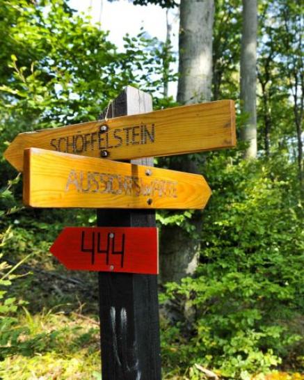 Wanderwege im Naturpark Purkersdorf