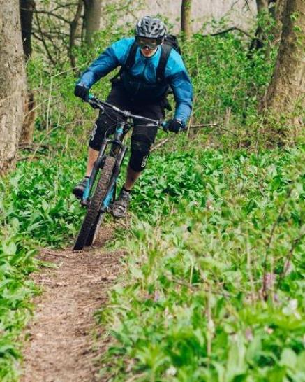 Mountainbiker unterwegs im Wienerwald