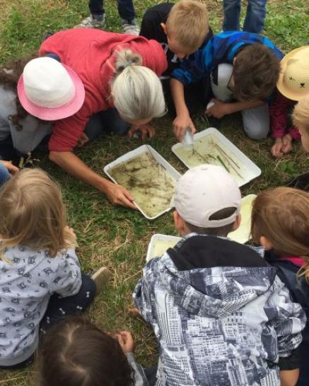 Kinder beim Erforschen der Natur